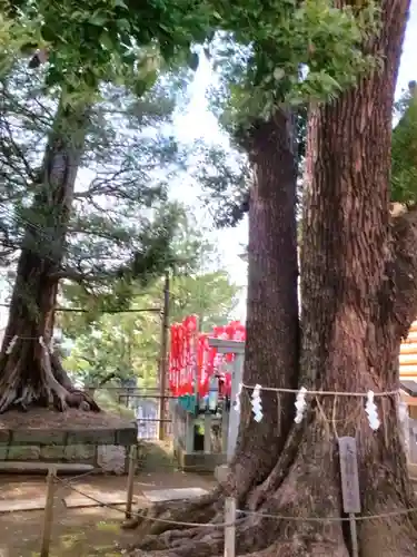諏訪神社(東京都)