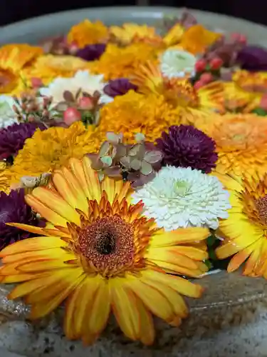 心行寺(東京都)