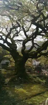 西善寺(埼玉県)