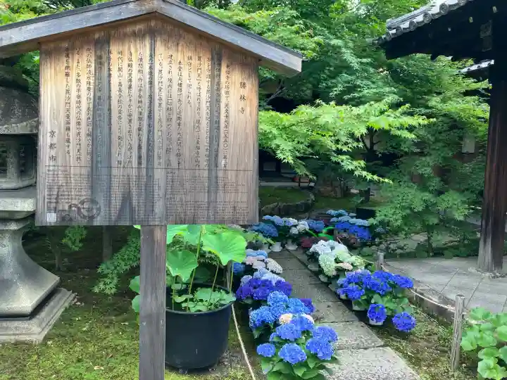 勝林寺(京都府)