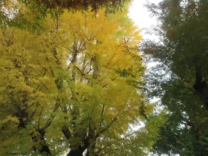 戸部杉山神社(神奈川県)