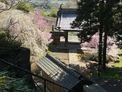 陽泰寺(長野県)