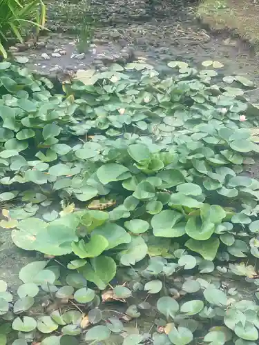 感通寺(東京都)