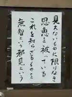 善徳寺の{uncategorized: "未分類", other: "その他", undefined: "問題あり", building: "その他建物", grave: "お墓", sacred_gate: "鳥居", guardian: "狛犬", statue: "像", buddha: "仏像", history: "歴史", nature: "自然", garden: "庭園", animal: "動物", pagoda: "塔", temizu: "手水舎", mountain_gate: "山門・神門", sanctuary: "本殿・本堂", subordinate: "末社・摂社", art: "芸術", scenery: "景色", jizo: "地蔵", ema: "絵馬", goshuin: "御朱印", omikuji: "おみくじ", items: "授与品その他", amulet: "お守り", goshuincho: "御朱印帳", eats: "食事", festival: "お祭り", votive_dance: "神楽", shichigosan: "七五三参", wedding: "結婚式", experience: "体験その他", initially: "初詣", around: "周辺", anti_infection: "感染症対策"}