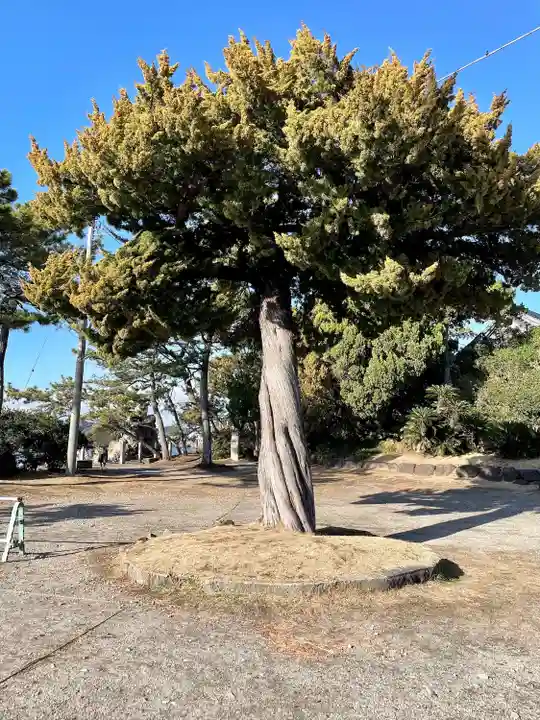 森戸大明神(森戸神社)(神奈川県)