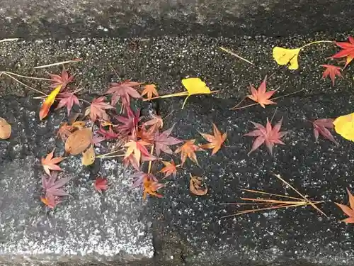 日吉神社の自然