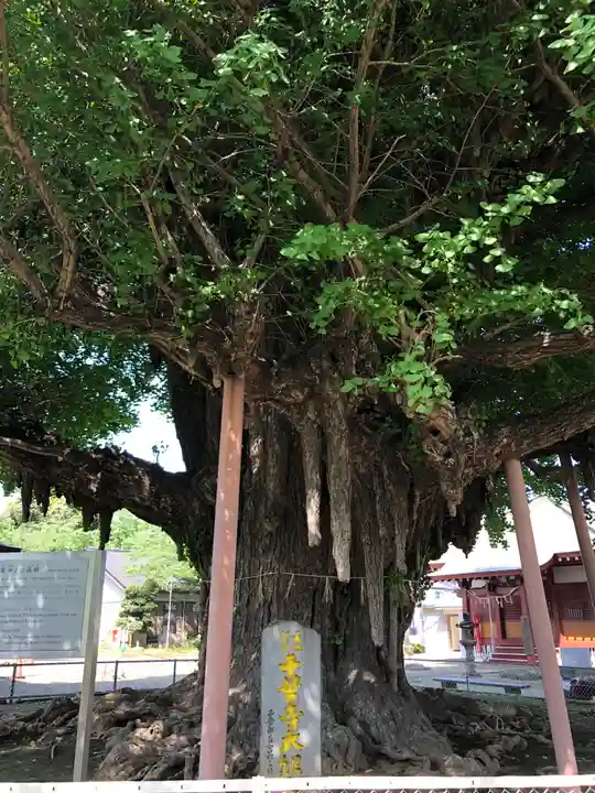 千葉寺(千葉県)