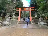 春日大社(奈良県)