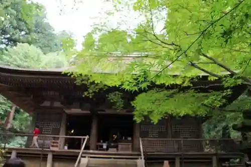 室生寺の建物その他