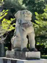 網走神社の狛犬