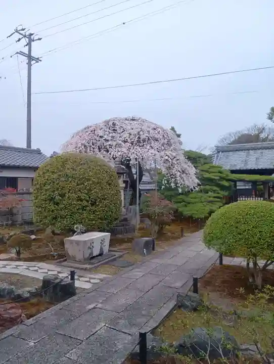 寛立院(曼陀羅寺塔頭)(愛知県)