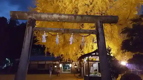 丹生酒殿神社の鳥居