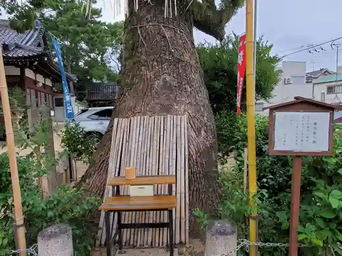 丹生神社の自然