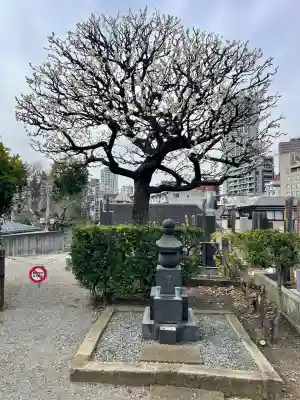 浄運寺の{uncategorized: "未分類", other: "その他", undefined: "問題あり", building: "その他建物", grave: "お墓", sacred_gate: "鳥居", guardian: "狛犬", statue: "像", buddha: "仏像", history: "歴史", nature: "自然", garden: "庭園", animal: "動物", pagoda: "塔", temizu: "手水舎", mountain_gate: "山門・神門", sanctuary: "本殿・本堂", subordinate: "末社・摂社", art: "芸術", scenery: "景色", jizo: "地蔵", ema: "絵馬", goshuin: "御朱印", omikuji: "おみくじ", items: "授与品その他", amulet: "お守り", goshuincho: "御朱印帳", eats: "食事", festival: "お祭り", votive_dance: "神楽", shichigosan: "七五三参", wedding: "結婚式", experience: "体験その他", initially: "初詣", around: "周辺", anti_infection: "感染症対策"}