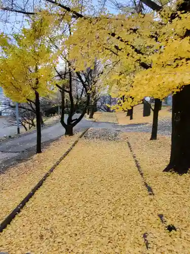 嘉多山稲荷の自然