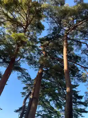 南湖神社(福島県)