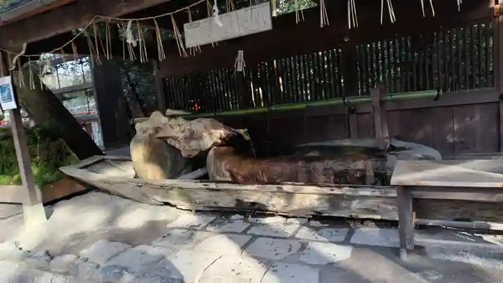 賀茂御祖神社(下鴨神社)(京都府)