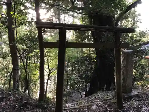 怒田神社の鳥居