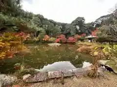 浄瑠璃寺(京都府)