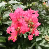 豊景神社の自然