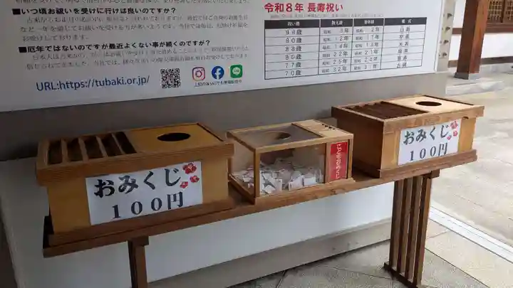 伊豫豆比古命神社のおみくじ
