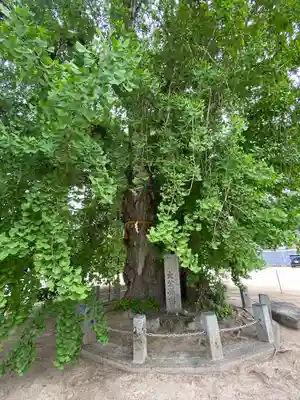 吉備津神社の自然