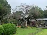 真浄寺(千葉県)