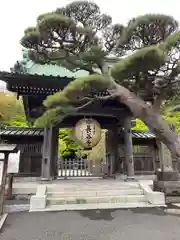 鶴岡八幡宮(神奈川県)