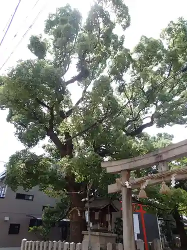 住吉神社の鳥居