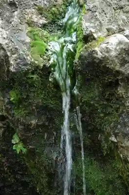 藤森神社のその他建物
