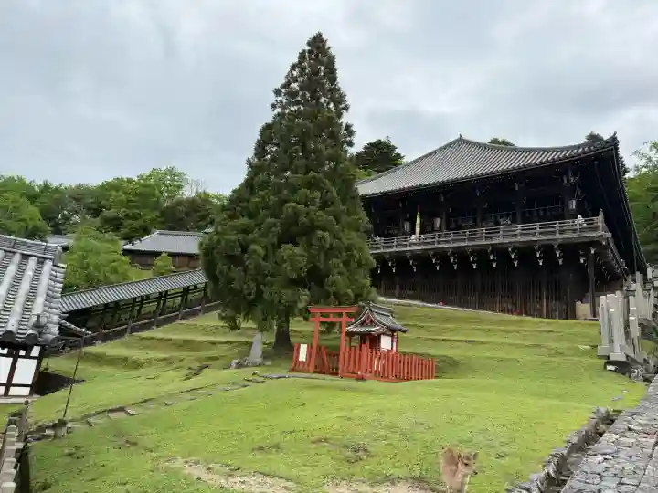 東大寺 二月堂の{uncategorized: "未分類", other: "その他", undefined: "問題あり", building: "その他建物", grave: "お墓", sacred_gate: "鳥居", guardian: "狛犬", statue: "像", buddha: "仏像", history: "歴史", nature: "自然", garden: "庭園", animal: "動物", pagoda: "塔", temizu: "手水舎", mountain_gate: "山門・神門", sanctuary: "本殿・本堂", subordinate: "末社・摂社", art: "芸術", scenery: "景色", jizo: "地蔵", ema: "絵馬", goshuin: "御朱印", omikuji: "おみくじ", items: "授与品その他", amulet: "お守り", goshuincho: "御朱印帳", eats: "食事", festival: "お祭り", votive_dance: "神楽", shichigosan: "七五三参", wedding: "結婚式", experience: "体験その他", initially: "初詣", around: "周辺", anti_infection: "感染症対策"}