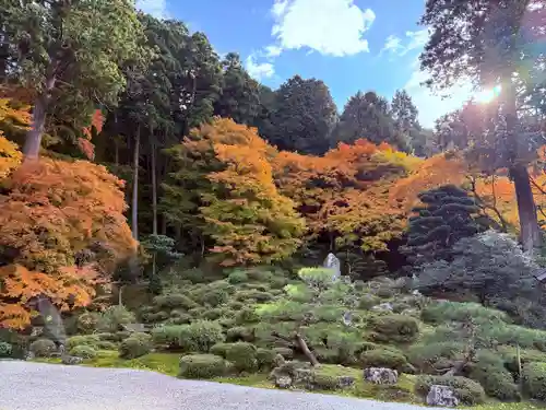 萬徳寺(福井県)