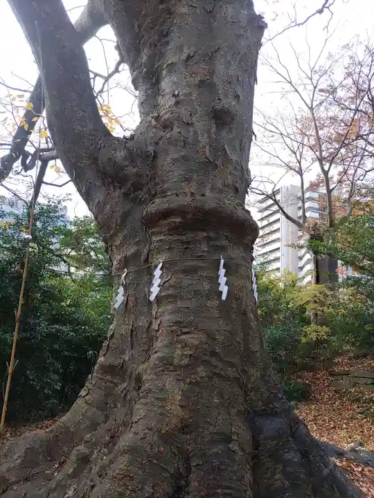 愛宕神社(福島県)