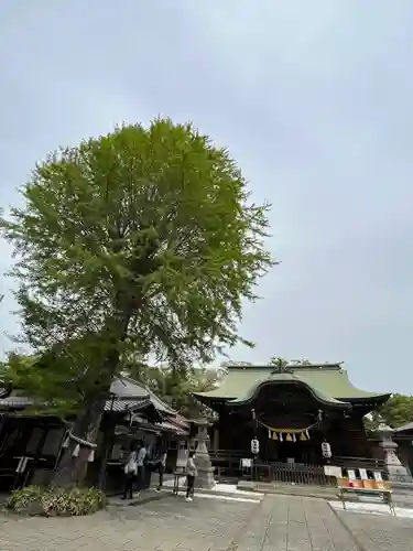 菊田神社の本殿・本堂