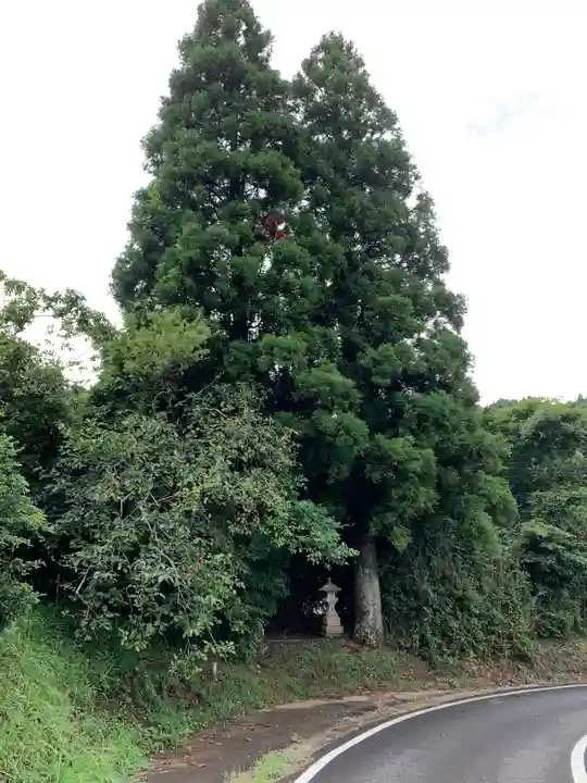 秋葉神社の周辺