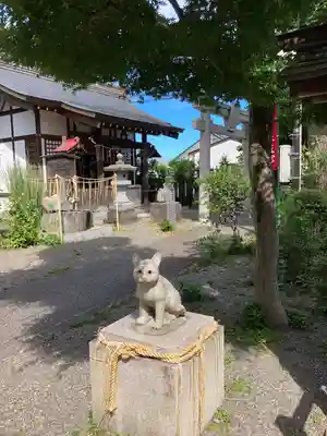 阿豆佐味天神社 立川水天宮の狛犬