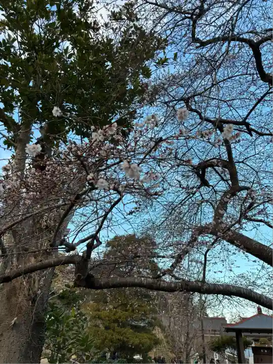 志波彦神社・鹽竈神社(宮城県)