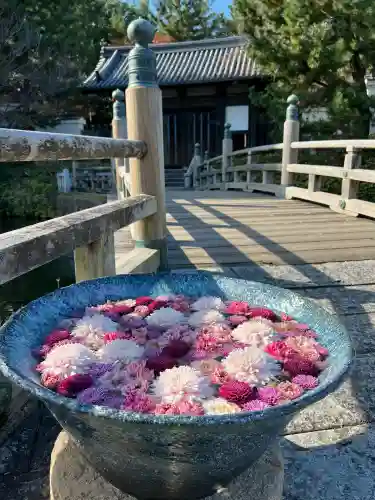 忍　諏訪神社・東照宮　(埼玉県)