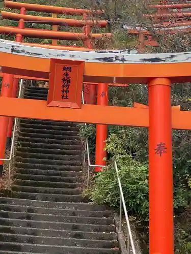 鯛生稲荷神社の鳥居