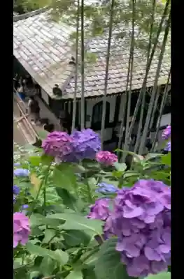 長谷寺(神奈川県)