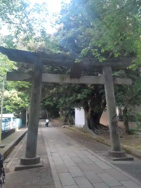 渋谷氷川神社の鳥居