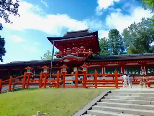 春日大社の建物その他