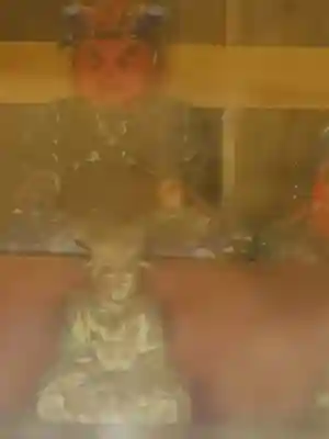 長林寺（山川長林寺）(栃木県)