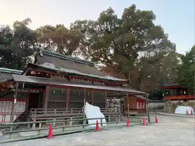 石清水八幡宮(京都府)