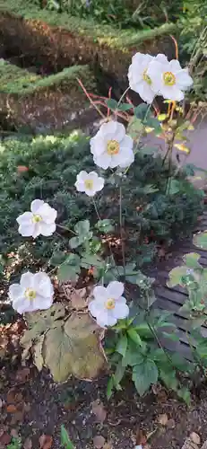 荏柄天神社(神奈川県)
