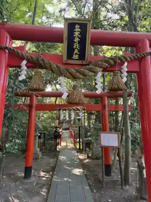 立木神社の{uncategorized: "未分類", other: "その他", undefined: "問題あり", building: "その他建物", grave: "お墓", sacred_gate: "鳥居", guardian: "狛犬", statue: "像", buddha: "仏像", history: "歴史", nature: "自然", garden: "庭園", animal: "動物", pagoda: "塔", temizu: "手水舎", mountain_gate: "山門・神門", sanctuary: "本殿・本堂", subordinate: "末社・摂社", art: "芸術", scenery: "景色", jizo: "地蔵", ema: "絵馬", goshuin: "御朱印", omikuji: "おみくじ", items: "授与品その他", amulet: "お守り", goshuincho: "御朱印帳", eats: "食事", festival: "お祭り", votive_dance: "神楽", shichigosan: "七五三参", wedding: "結婚式", experience: "体験その他", initially: "初詣", around: "周辺", anti_infection: "感染症対策"}