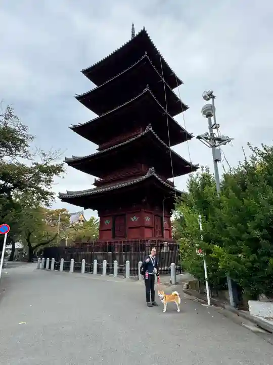 池上本門寺の{uncategorized: "未分類", other: "その他", undefined: "問題あり", building: "その他建物", grave: "お墓", sacred_gate: "鳥居", guardian: "狛犬", statue: "像", buddha: "仏像", history: "歴史", nature: "自然", garden: "庭園", animal: "動物", pagoda: "塔", temizu: "手水舎", mountain_gate: "山門・神門", sanctuary: "本殿・本堂", subordinate: "末社・摂社", art: "芸術", scenery: "景色", jizo: "地蔵", ema: "絵馬", goshuin: "御朱印", omikuji: "おみくじ", items: "授与品その他", amulet: "お守り", goshuincho: "御朱印帳", eats: "食事", festival: "お祭り", votive_dance: "神楽", shichigosan: "七五三参", wedding: "結婚式", experience: "体験その他", initially: "初詣", around: "周辺", anti_infection: "感染症対策"}