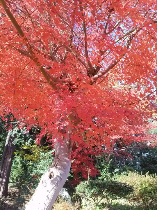 豊景神社(福島県)