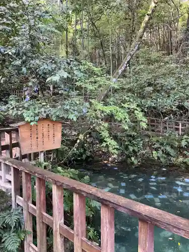 八重垣神社(島根県)