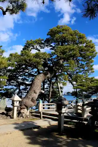 満月寺（浮御堂）の庭園